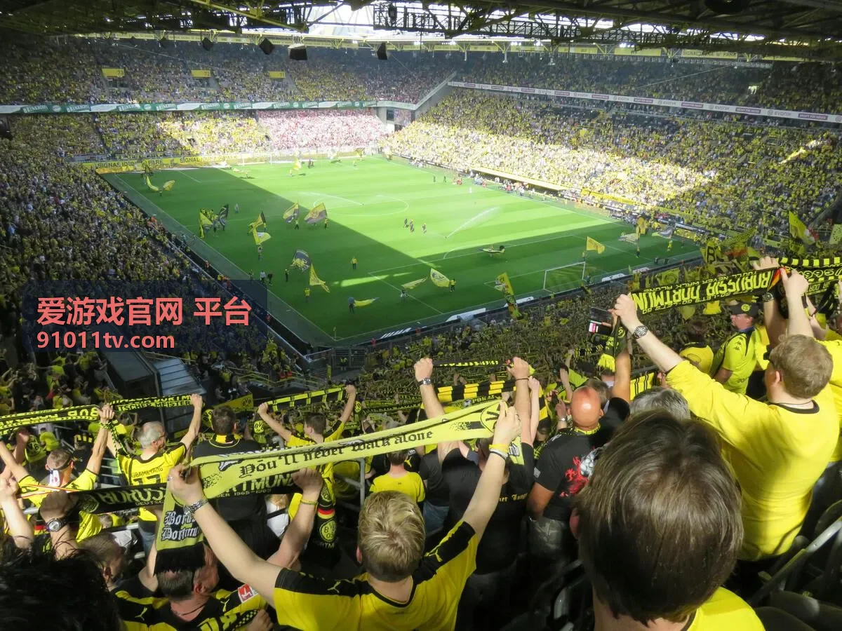 爱游戏官网 平台内容更新节奏说明配图