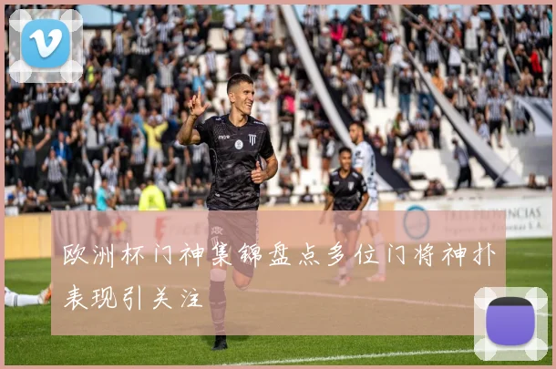 欧洲杯门神集锦盘点多位门将神扑表现引关注